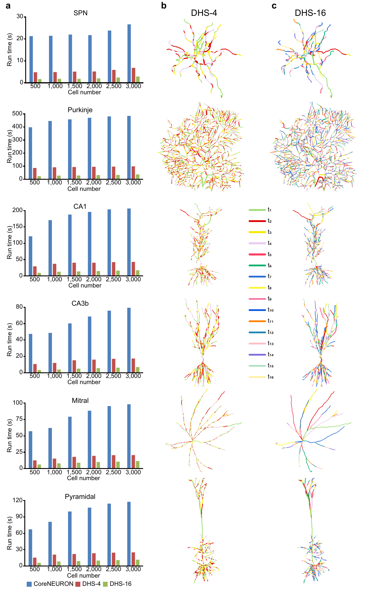 Original paper Figure 4 comparing CoreNEURON, DHS-4, and DHS-16 across six cell types and showing morphology-specific partitions