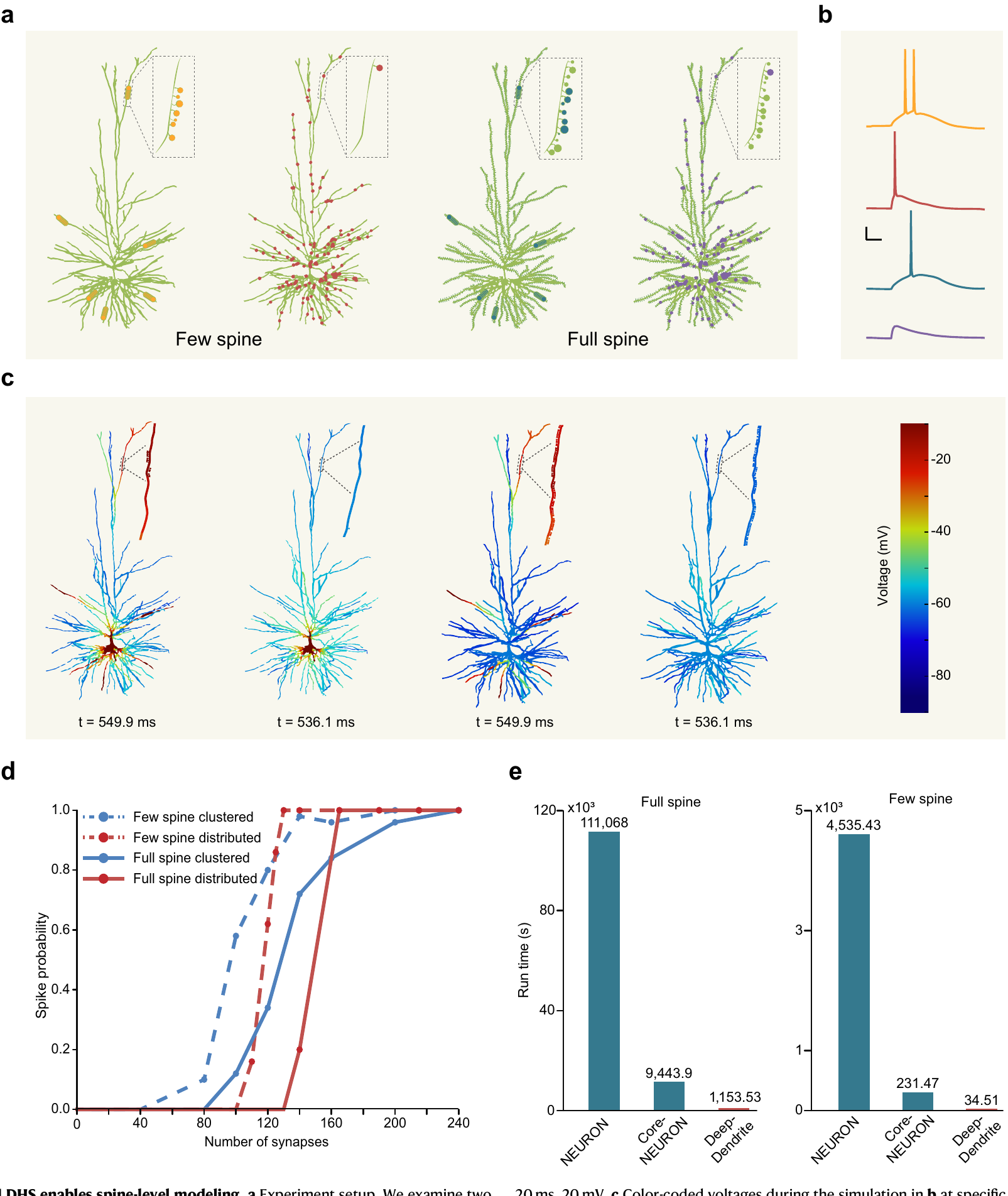Original paper Figure 5 comparing few-spine and full-spine pyramidal-cell models, voltage propagation, spike probability, and run time